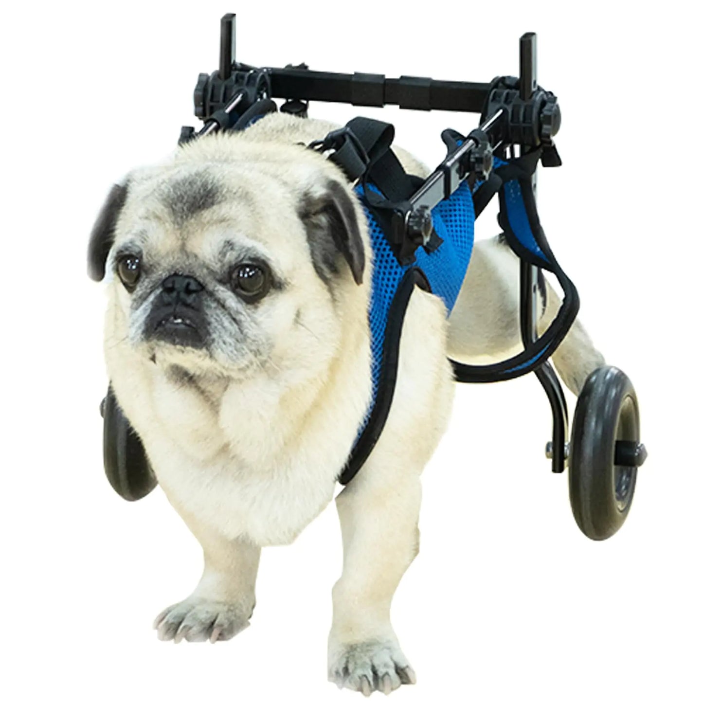 Pet Wheelchair,Dog Wheelchair,Dog Wheelchair for Back Legs,Adjustable Pet Cart,Assist a paralyzed pet get Back on its feet,Support Leg Brace and Hip (Medium)