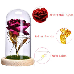 Eternal Rose in Glass Dome 