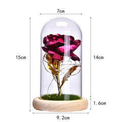 Eternal Rose in Glass Dome 